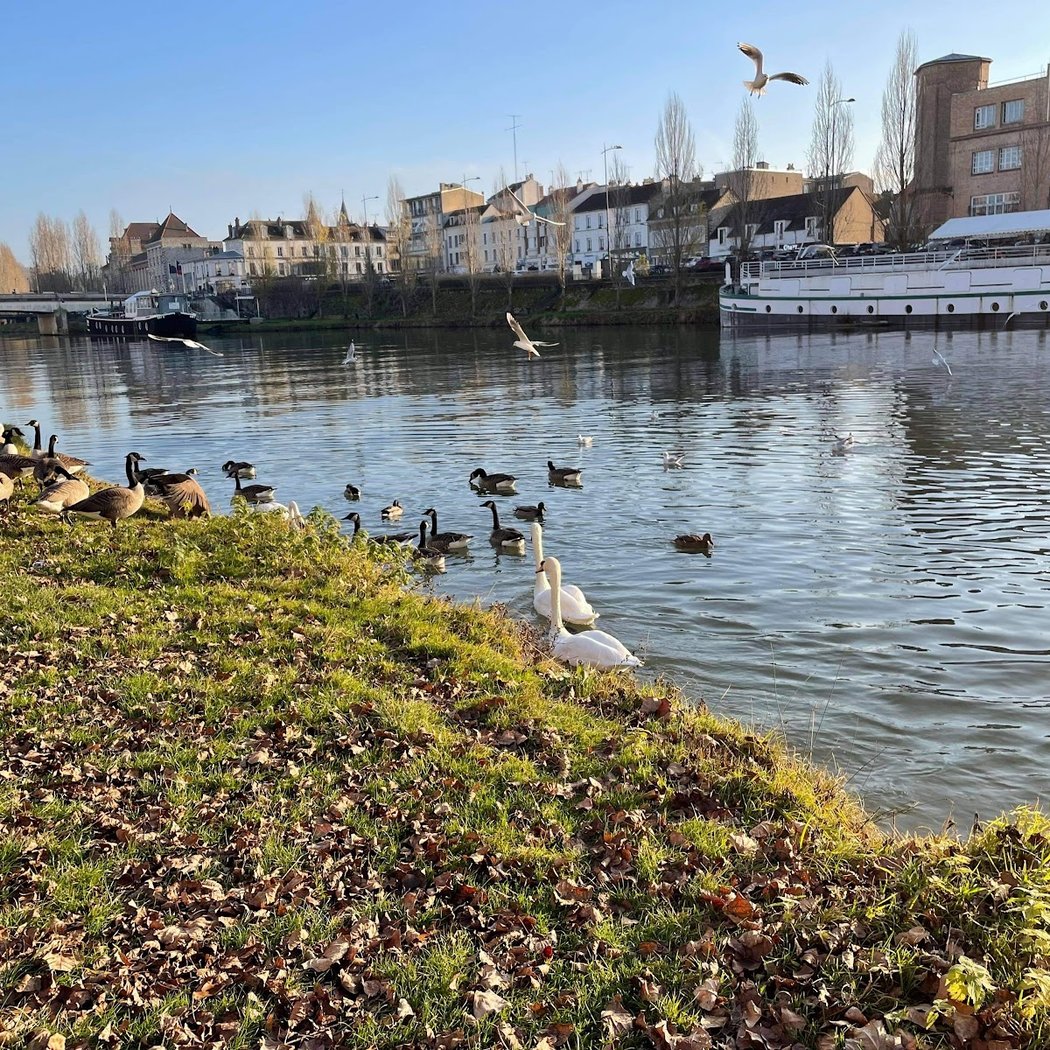 Chasse aux œufs de Pâques 3