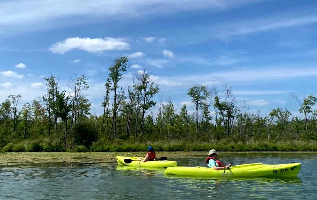 Wabasis Lake Park: Beginner Kayaking 1