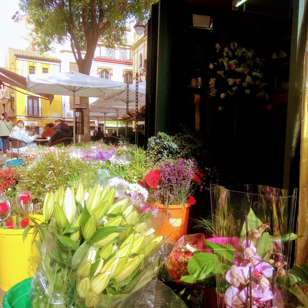 Floristería la Alfalfa 3