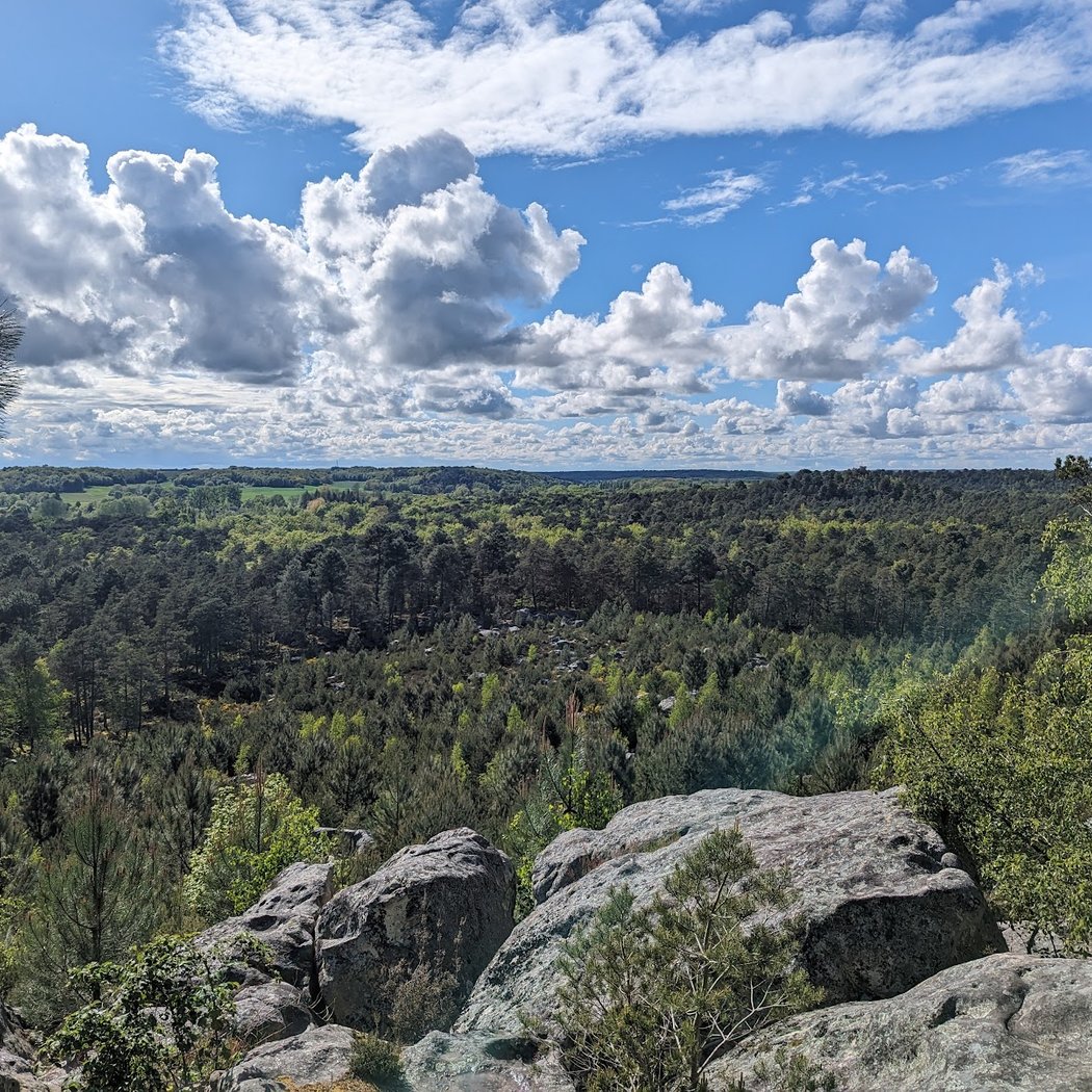 Forêt de Fontainebleau 4
