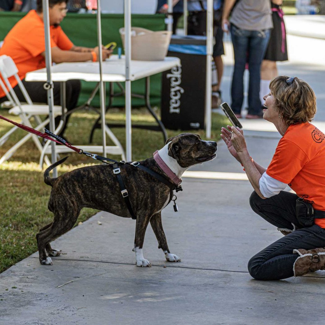 Barktoberfest 3