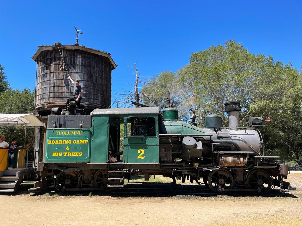 Roaring Camp 2