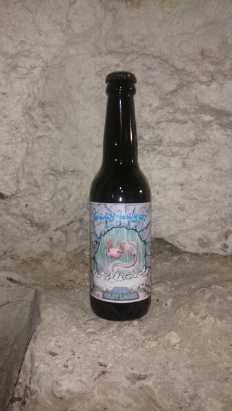 Intermarché station-service Boissise la Bertrand 3