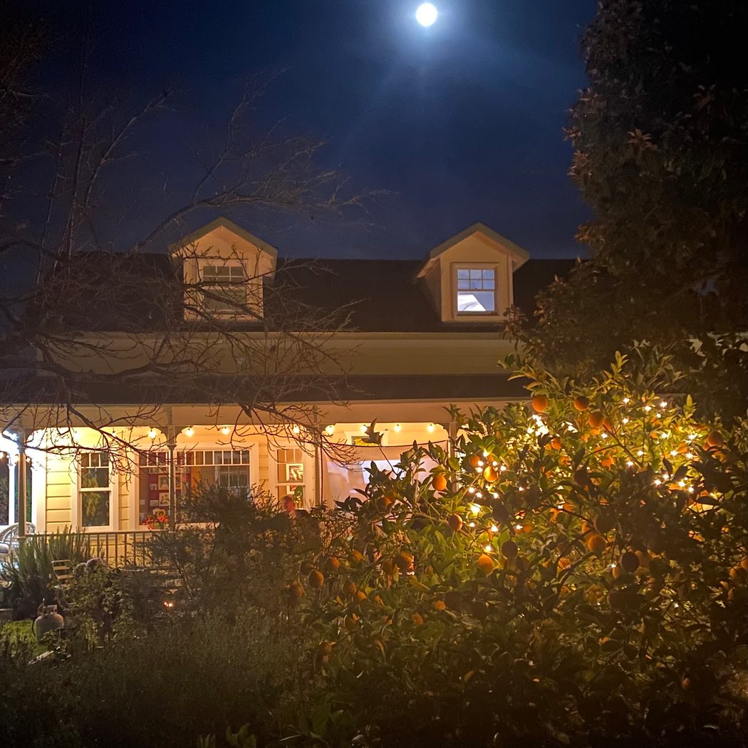 The Yellow House 1