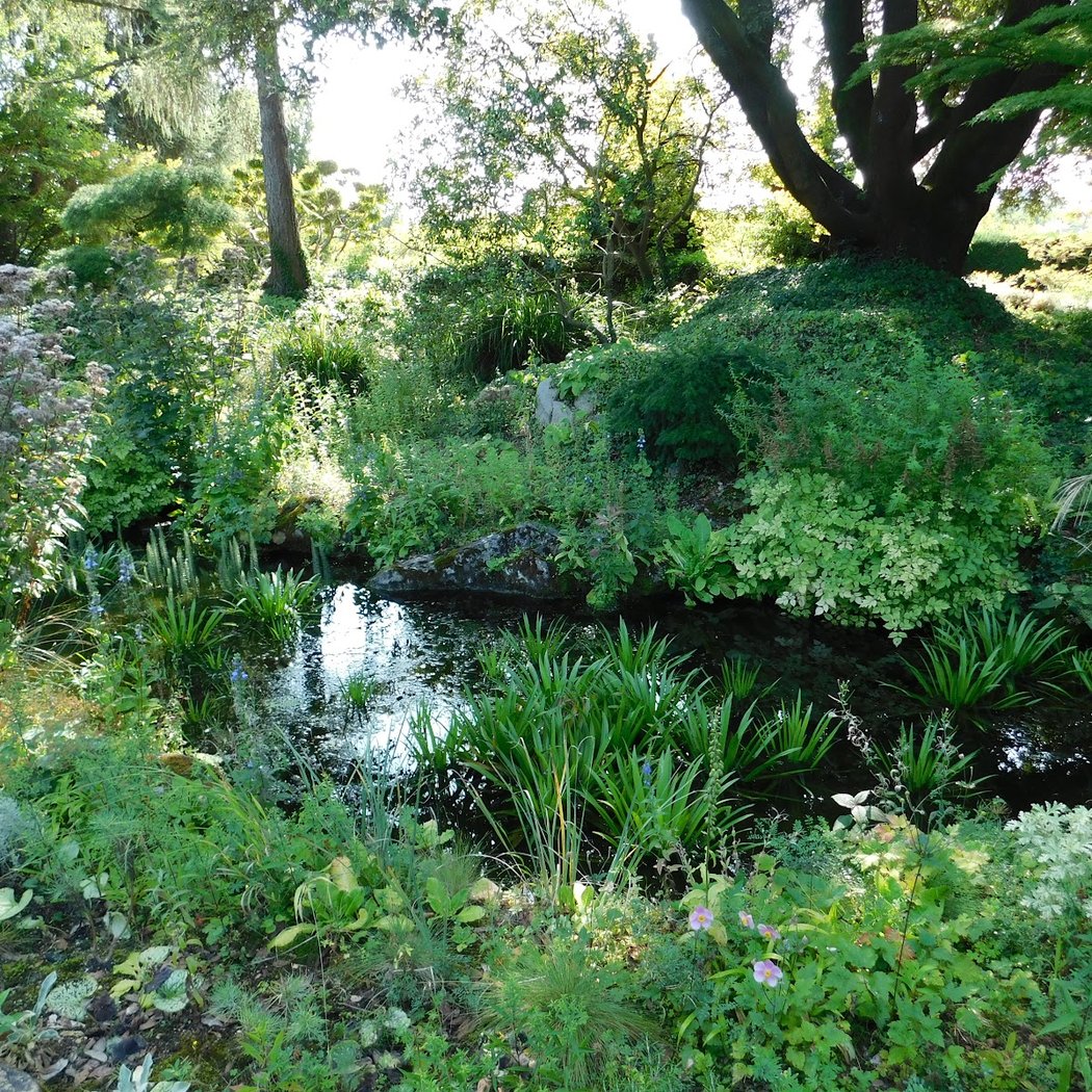 Japanese Garden 4