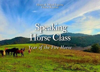 Speaking Horse February - Year of the Fire Horse 1