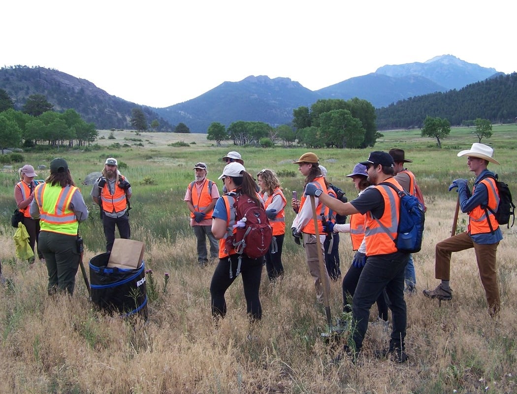 Invasive Plant Pull 3