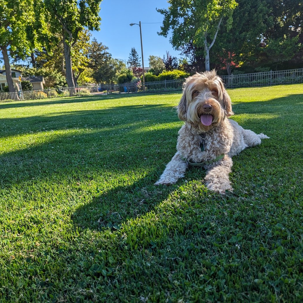 Jack W. Lyle Park 1