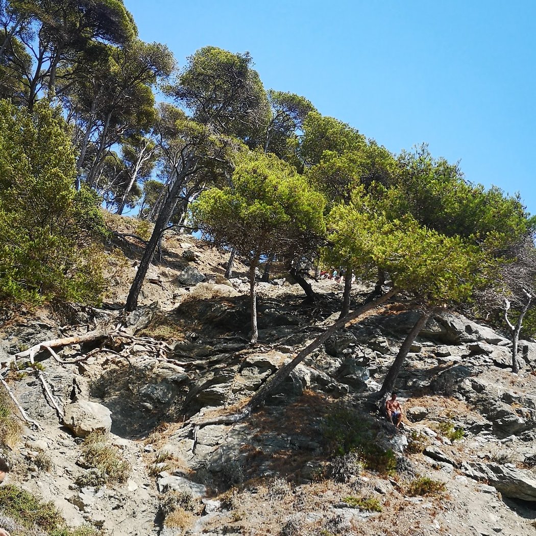 Plage du Mont Salva 4