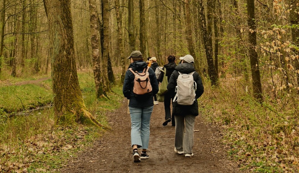Forest Bathing — Casa Rafaela