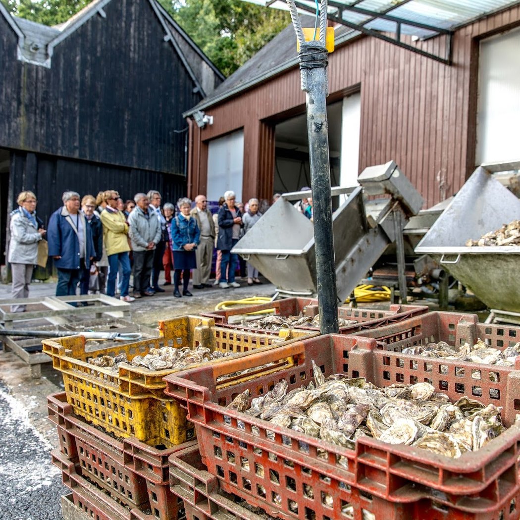 La Ferme Marine de Cancale 2