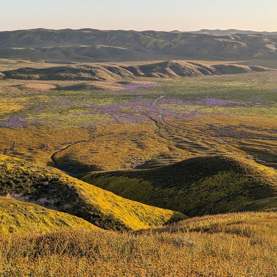 Carrizo Plain National Monument 2