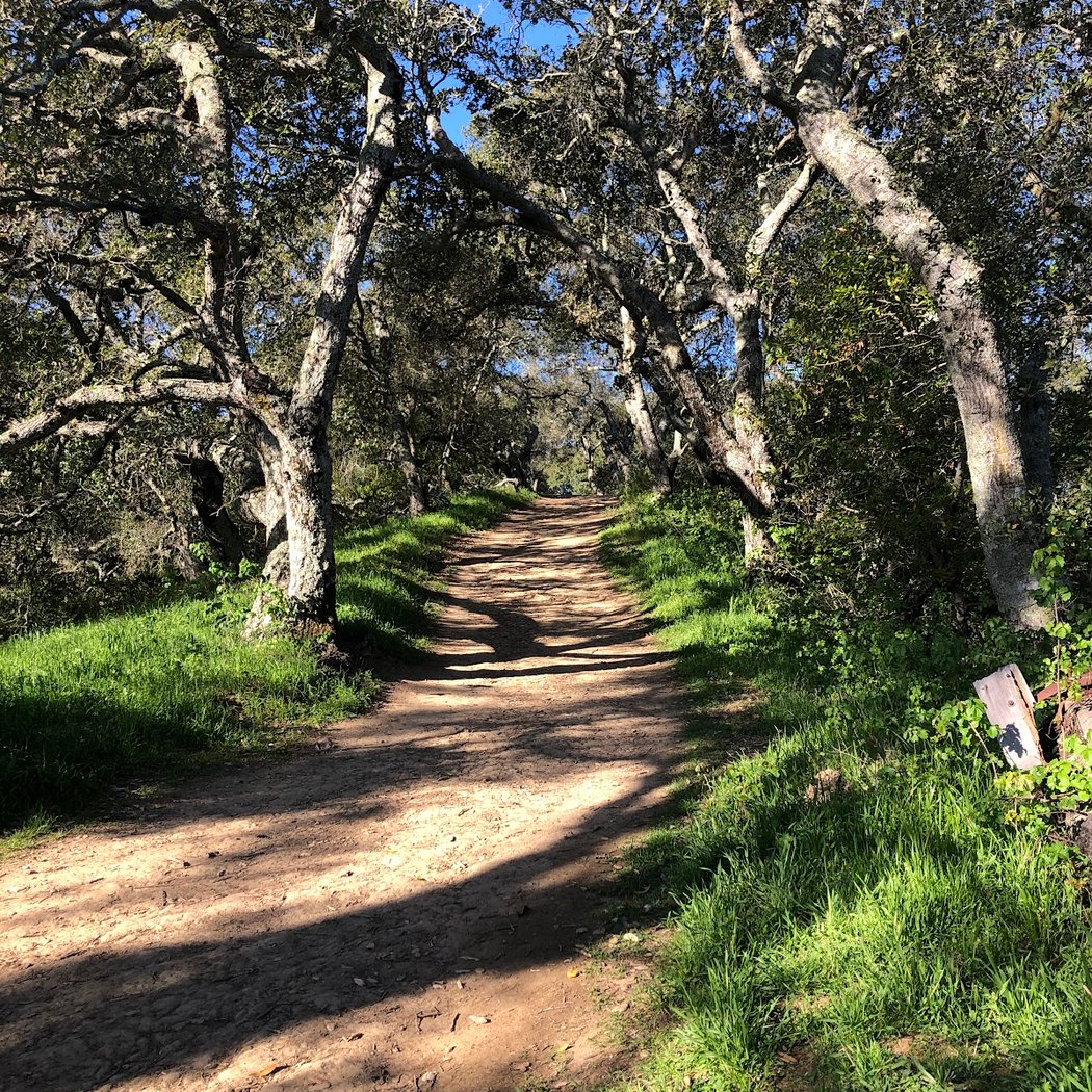 Springhill Road Trailhead 2