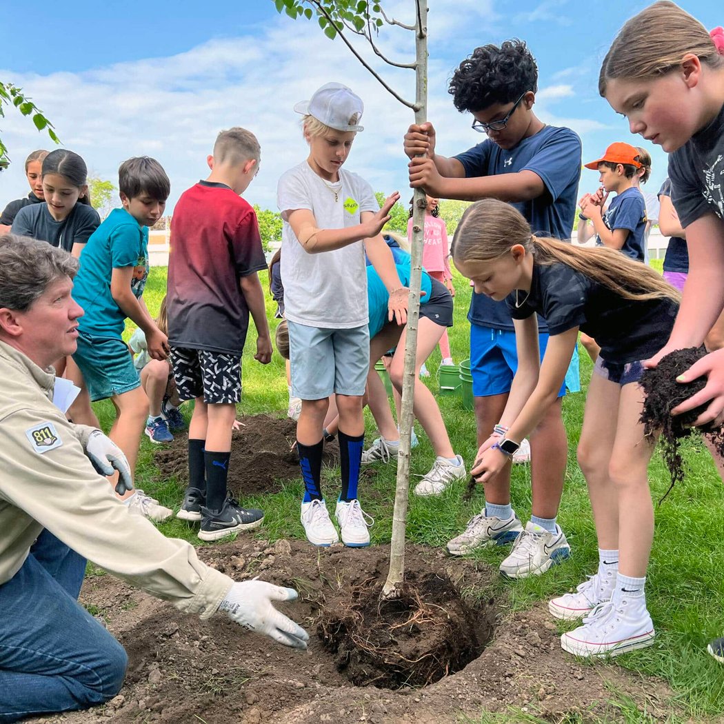 Tree Care in Candler Park 1