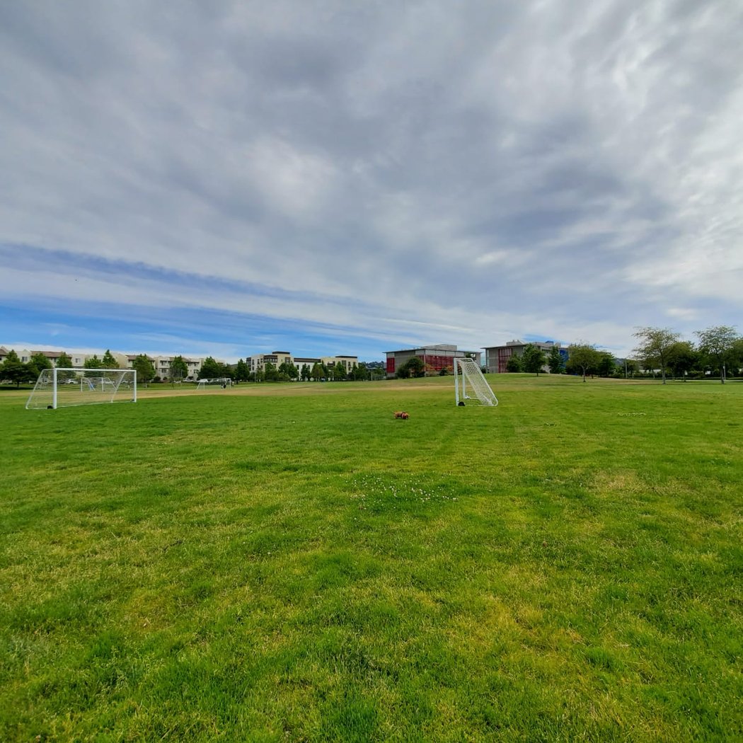 San Mateo Park 2
