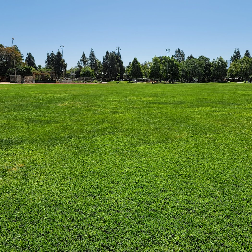 Pleasant Hill BaseballTots 3