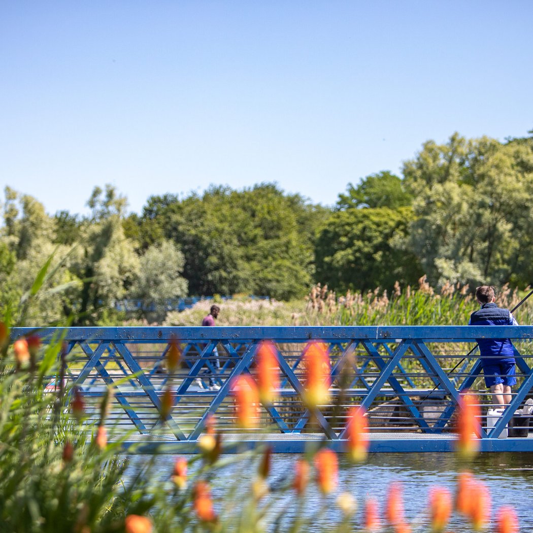 Parc départemental de la Plage-Bleue 5
