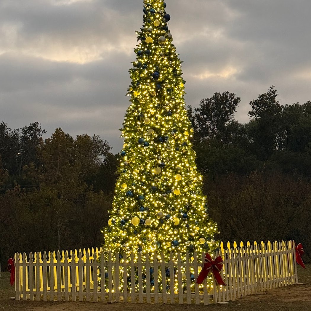 River of Lights 2026 2