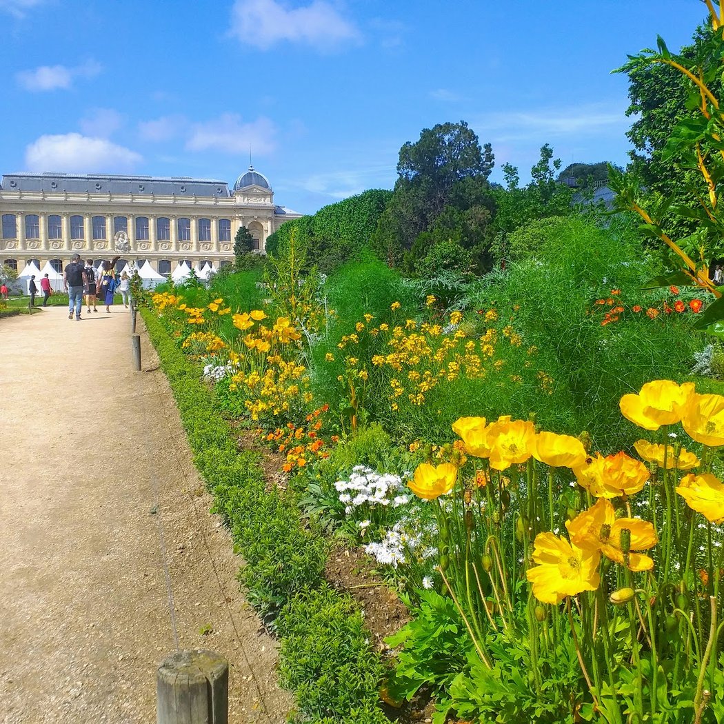 Lectures au jardin des plantes 1
