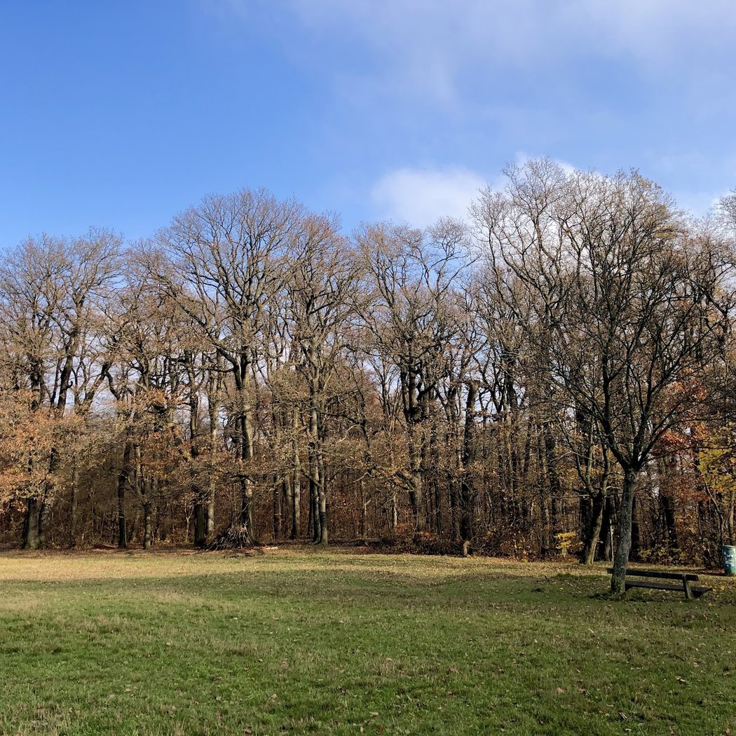 Kreuzeichenwiese 2