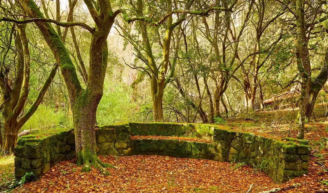 Wagner Ranch Nature Area 1