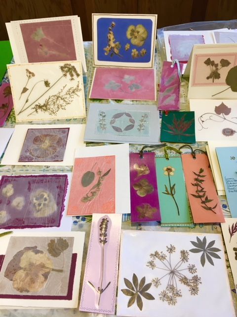 Garden Greetings: A Nature Inspired Card-making Workshop 1