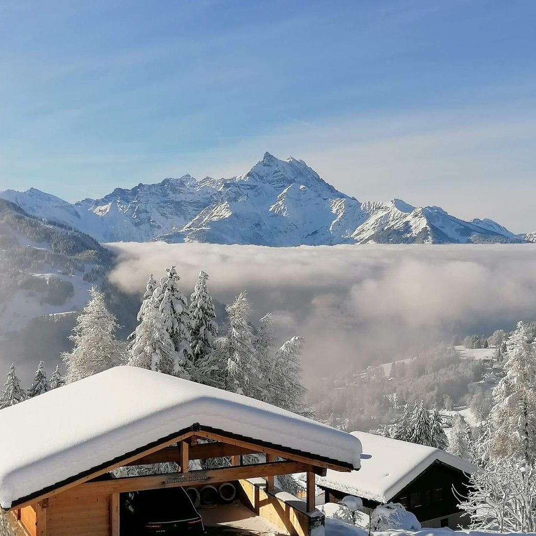 Télé-Villars-Gryon-Diablerets SA (TVGD) 3