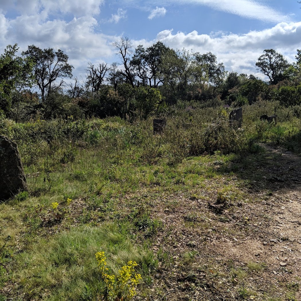 Site mégalithique des terriers 2