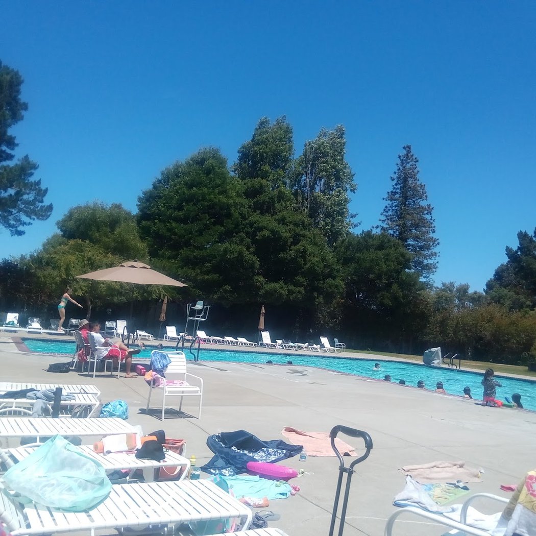 Millbrae Meadows Swimming Club 3