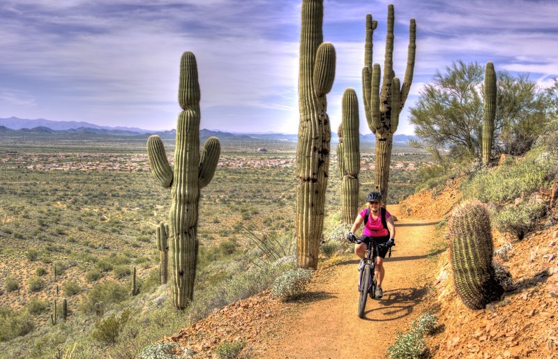 MTB Shift into the Weekend 1
