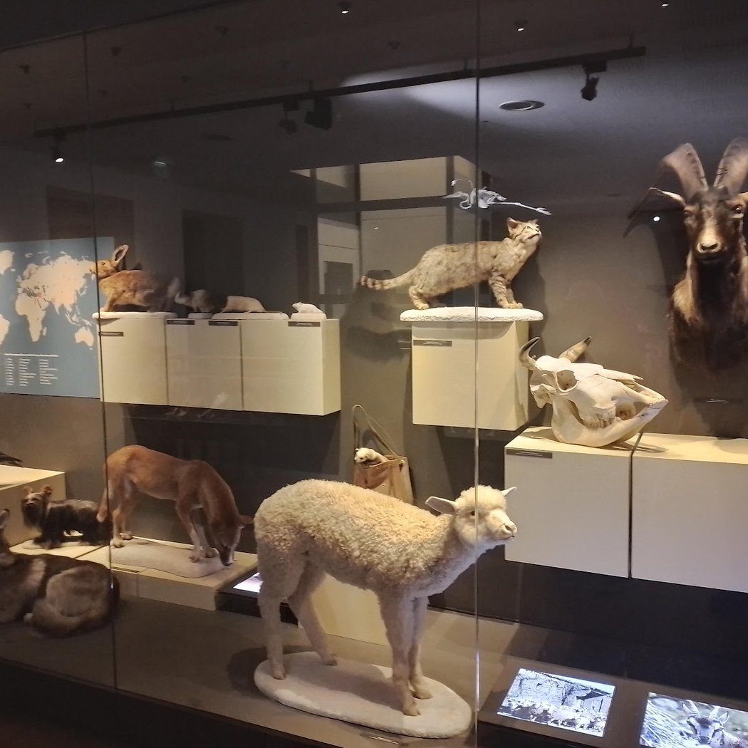 Muséum départemental du Var 3