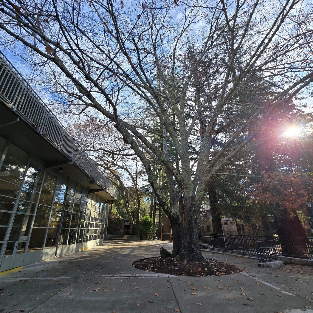 Alexander Hall 3