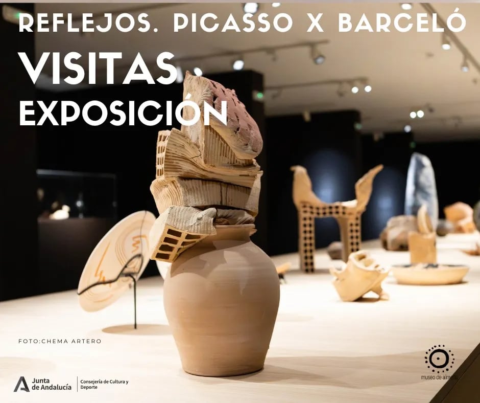 Visitas guiadas a la exposición Reflejos. Picasso x Barceló 1