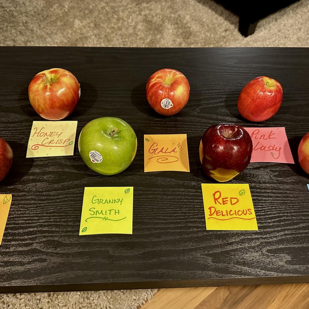 Apple Tasting 3