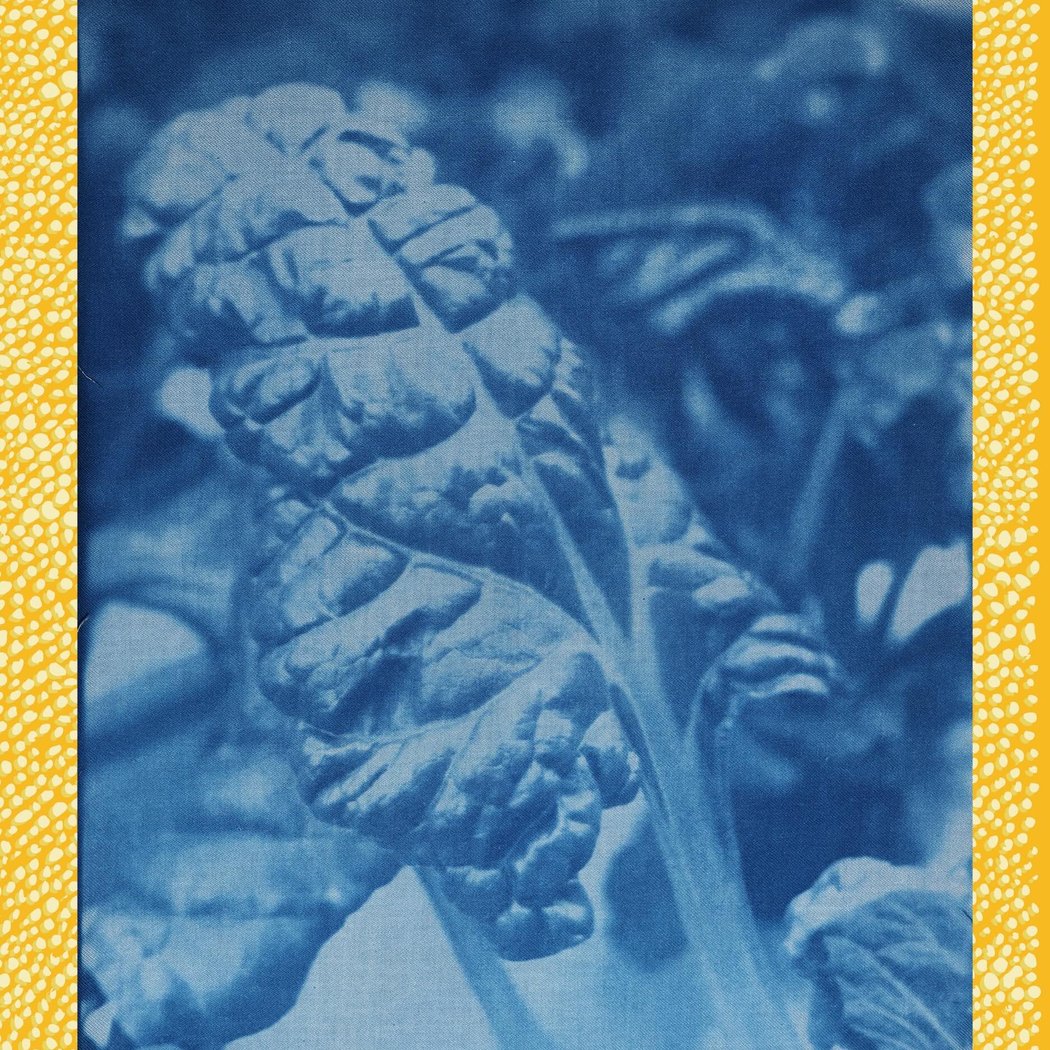 Hydroponic Cyanotypes 1