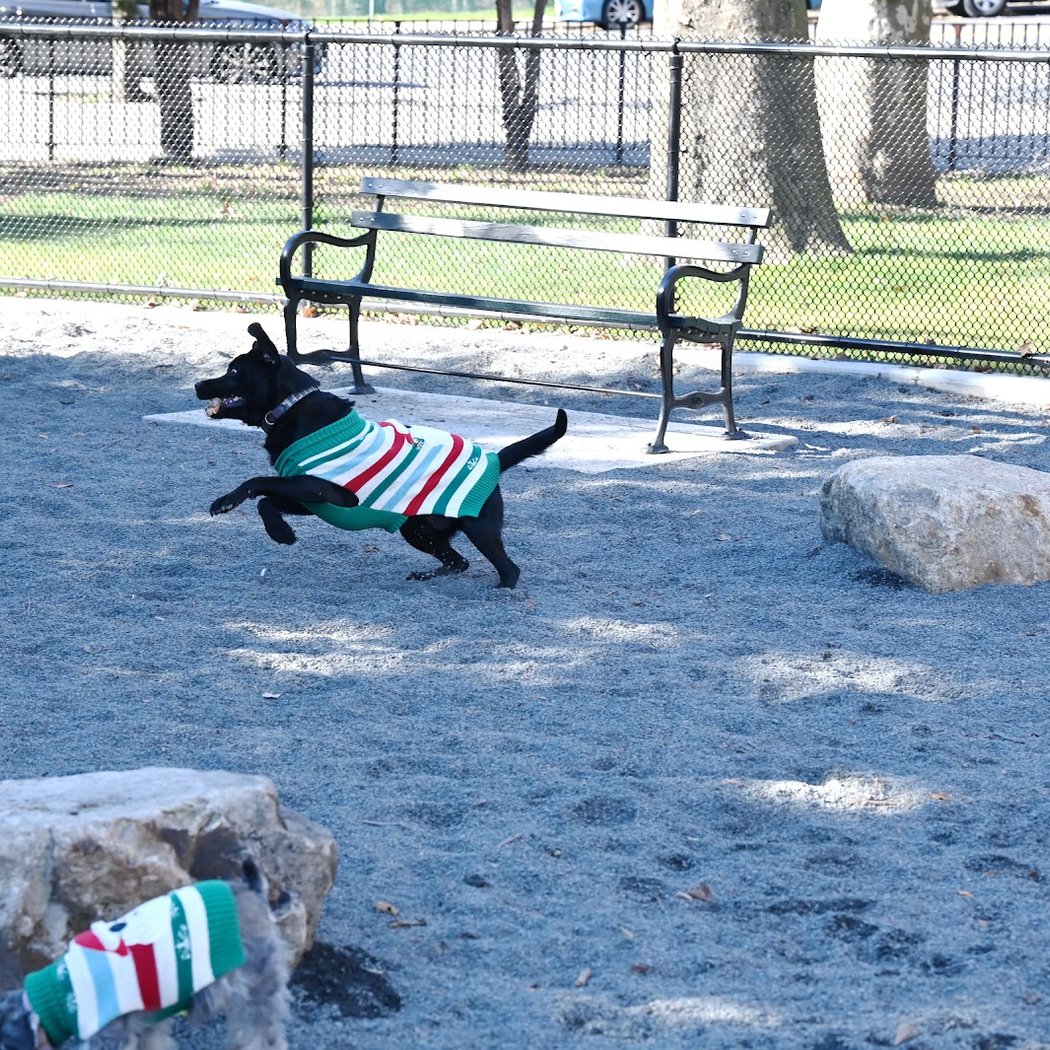 Devoe Park Dog Run 1