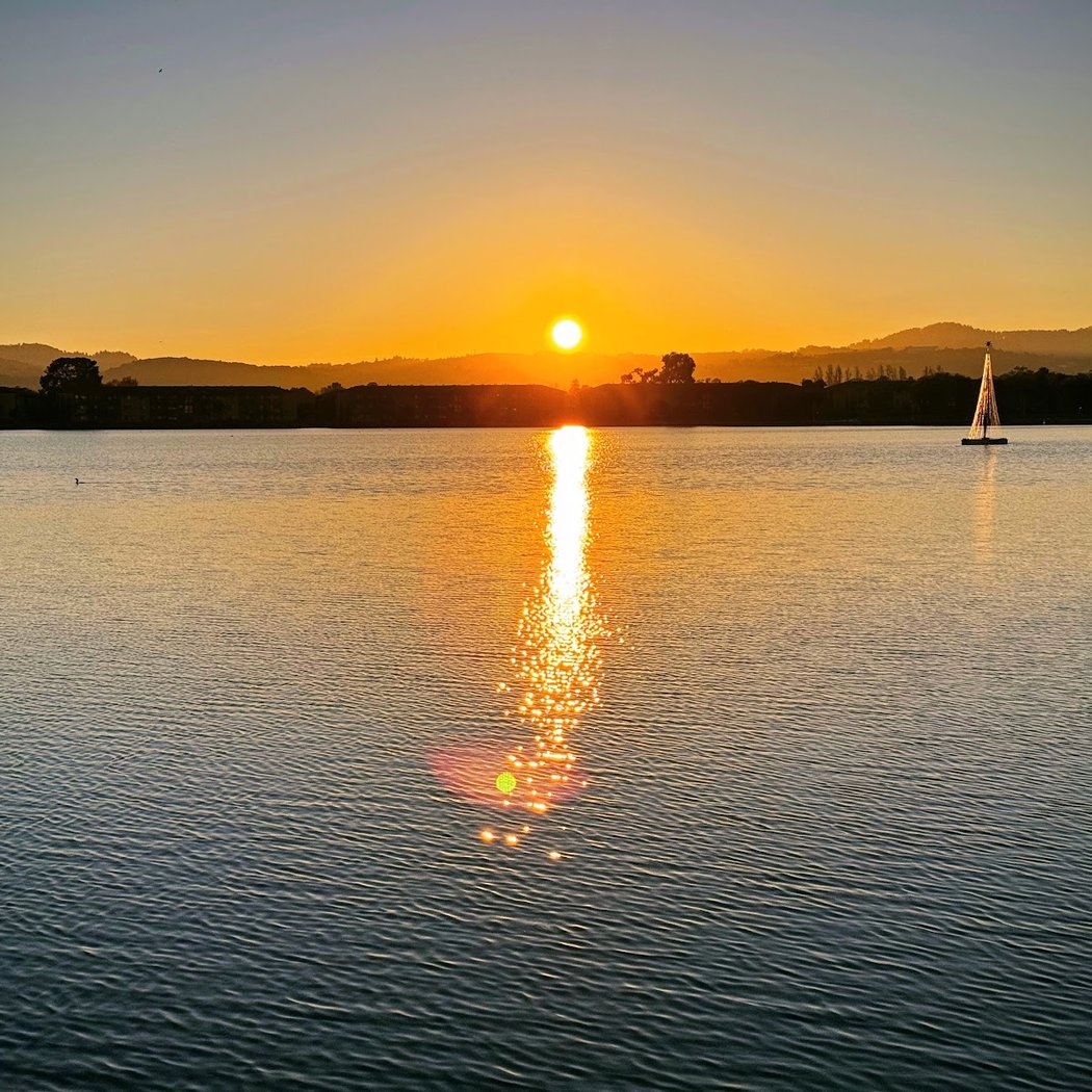 Off the Grid: Foster City 5