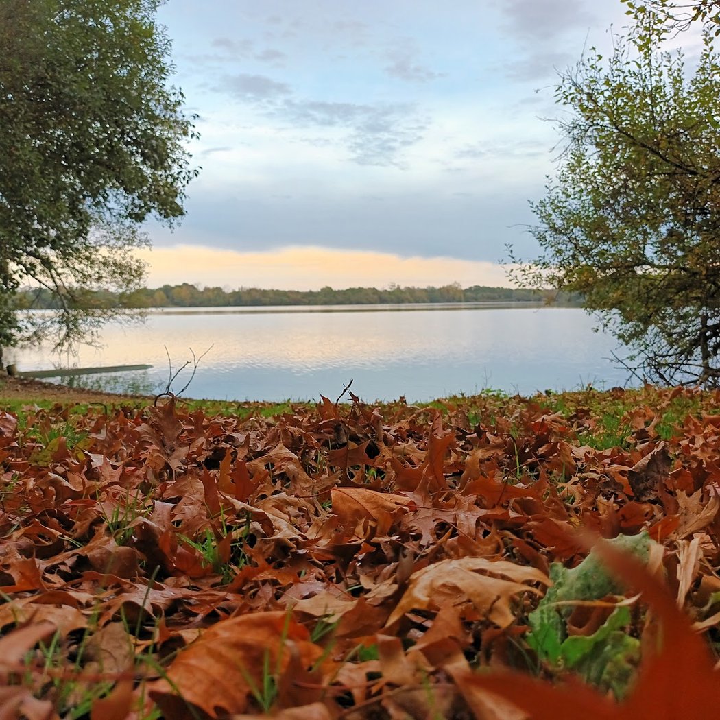 Joalland Woods 1
