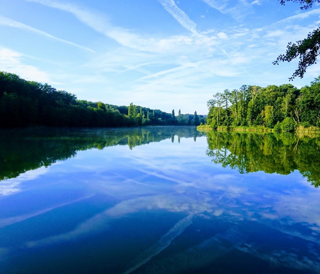 Forêt domaniale de Compiègne 1