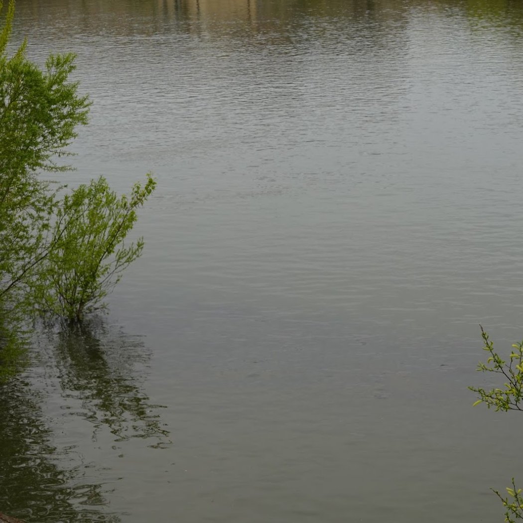 Promenade du quai Blanqui, Alfortville 3