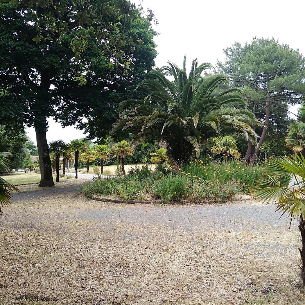 Brev' de Jardin 4