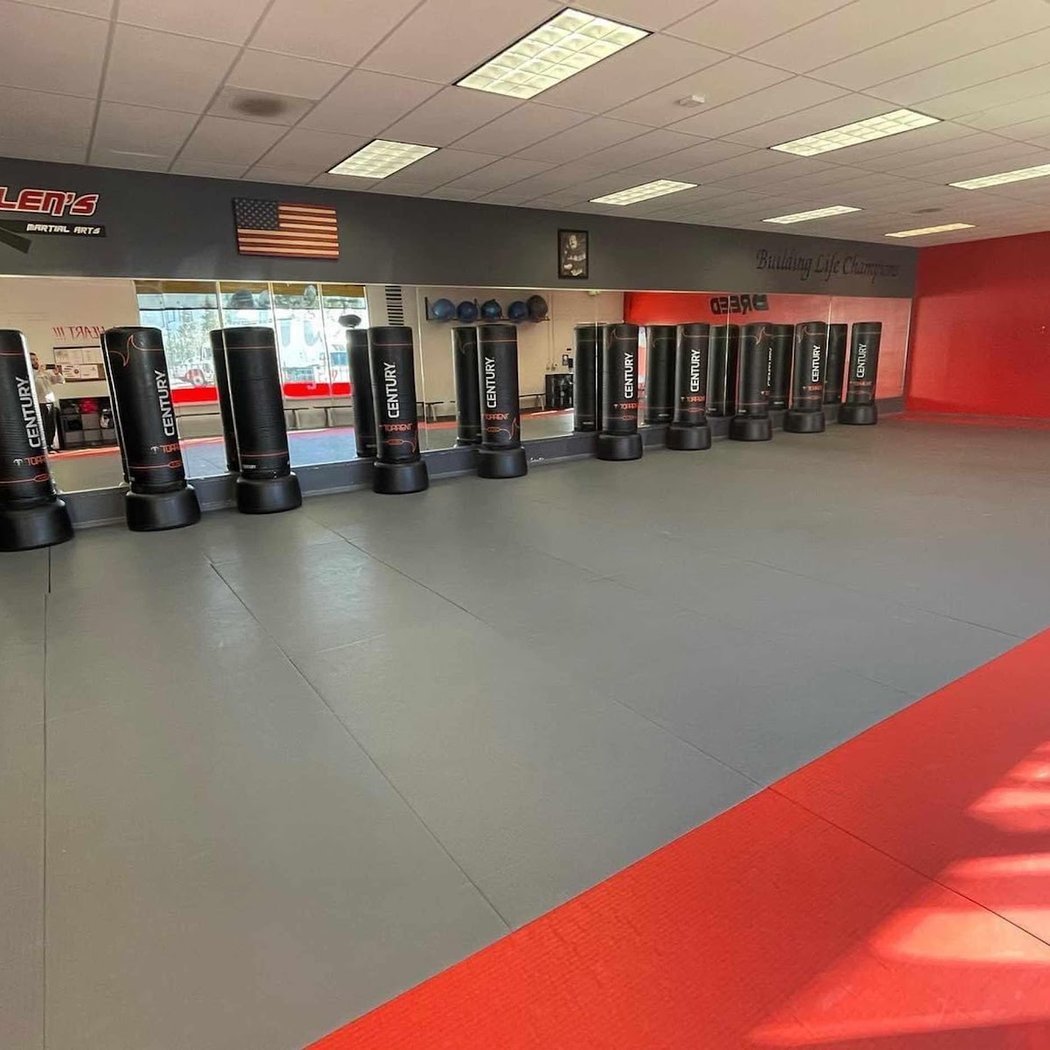 Pallens Martial Arts Tri Valley 2