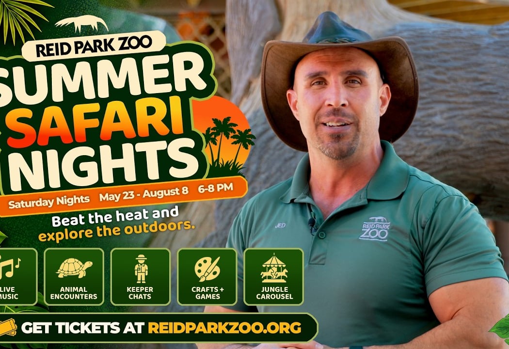 Summer Safari Nights 1