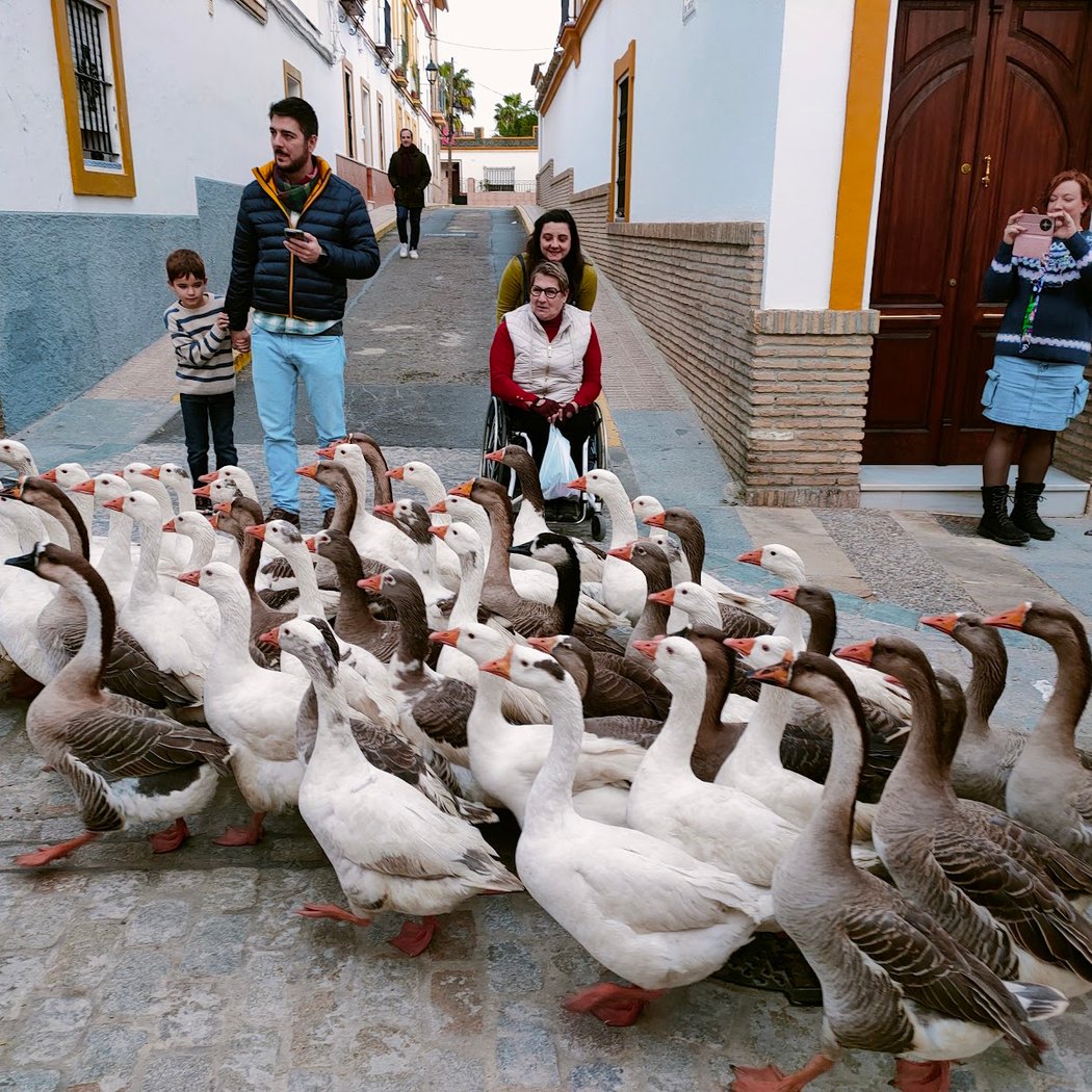 Mercado Medieval Navideño de Gines 1
