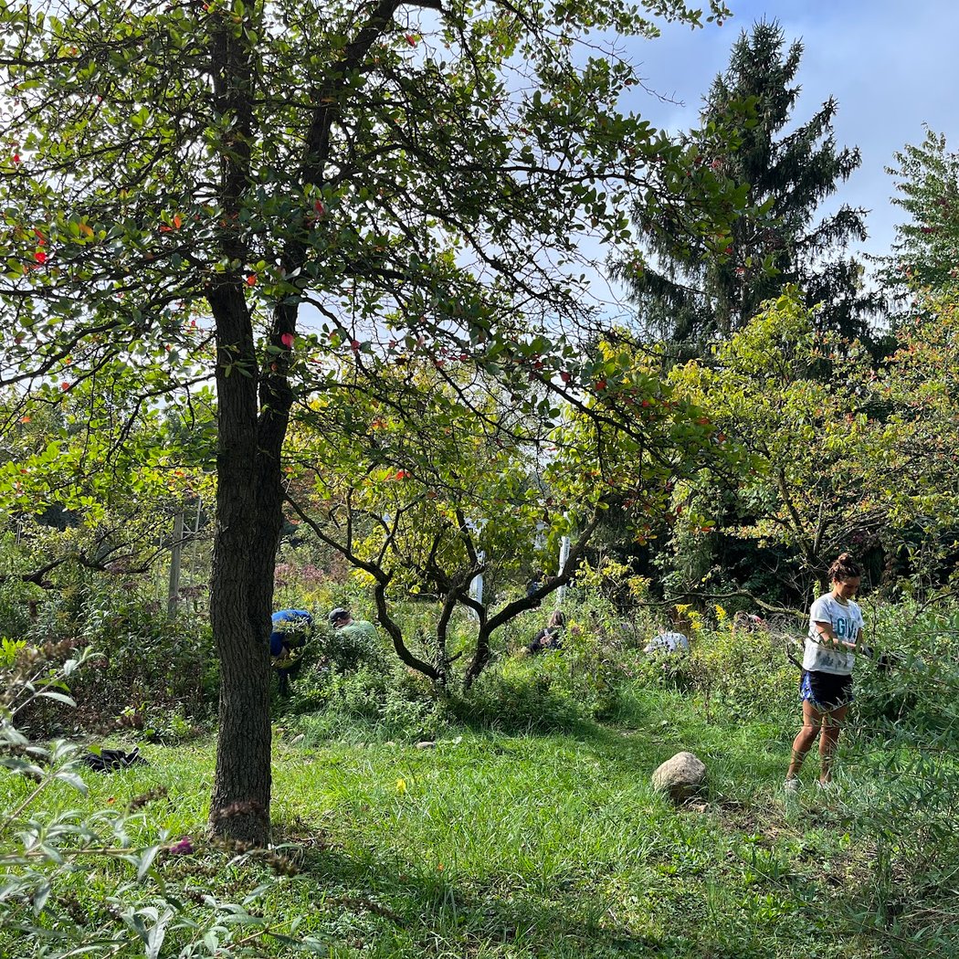 Rotary Club Butterfly and Hummingbird Garden 3