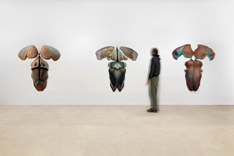 LIDDY SCHEFFKNECHT – NOW 1