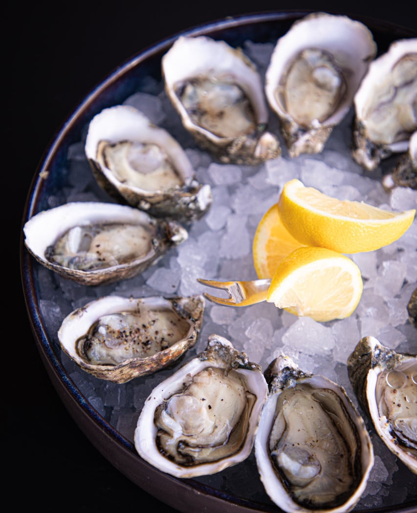 Oyster 1