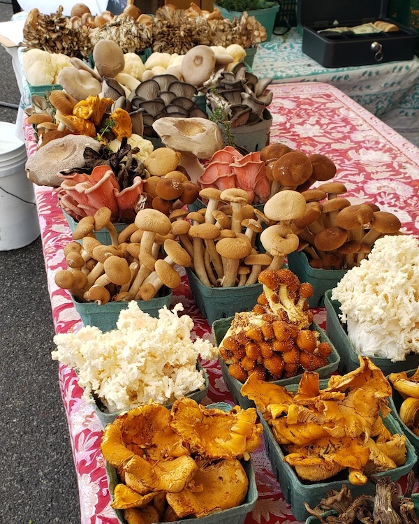 Hudson Farmers Market 2