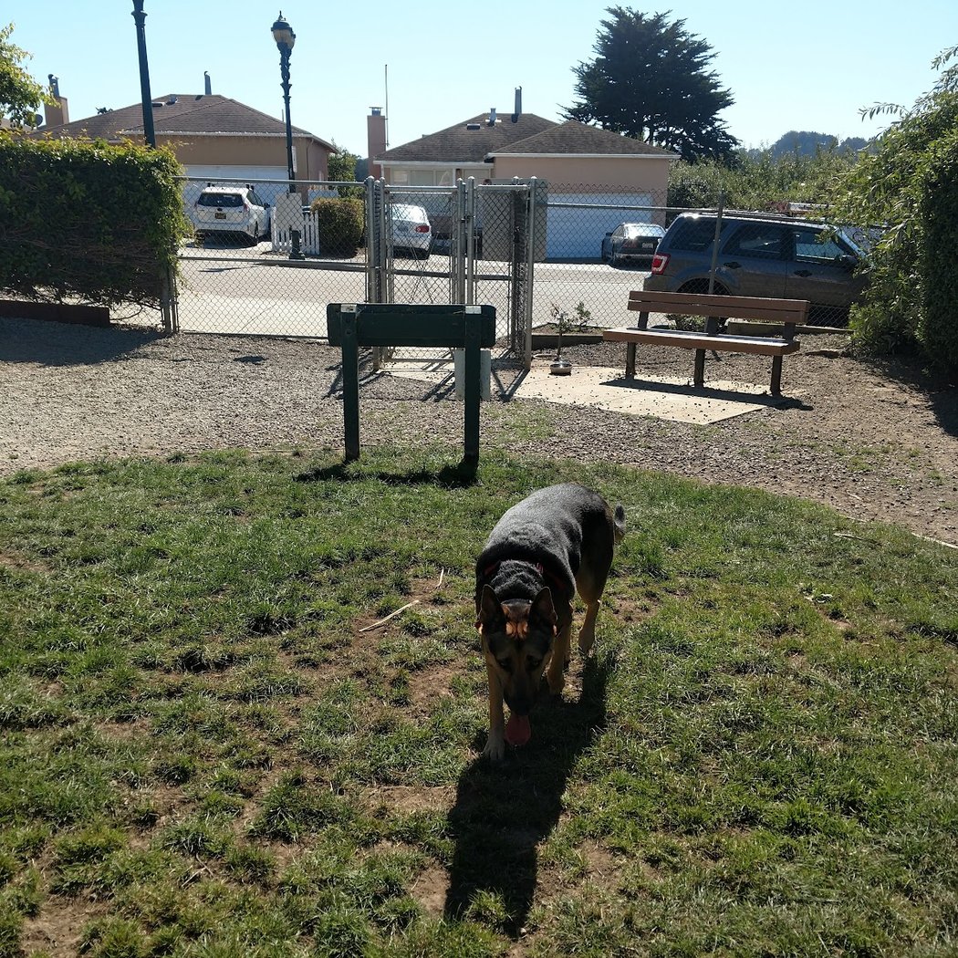 Bark Park 3