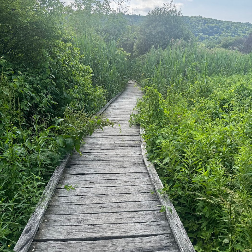 Appalachian Trail 2